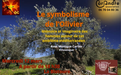 Le symbolisme de l’Olivier : mémoire et imaginaire des hommes autour de cet arbre emblème méditerranéen